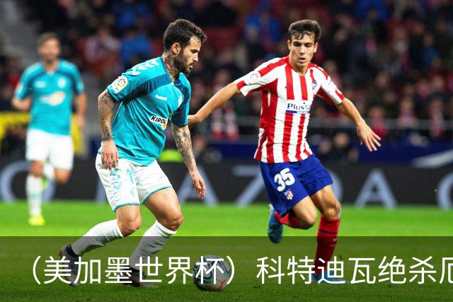 （美加墨世界杯）科特迪瓦绝杀厄瓜多尔 瑞典5:1大胜突尼斯